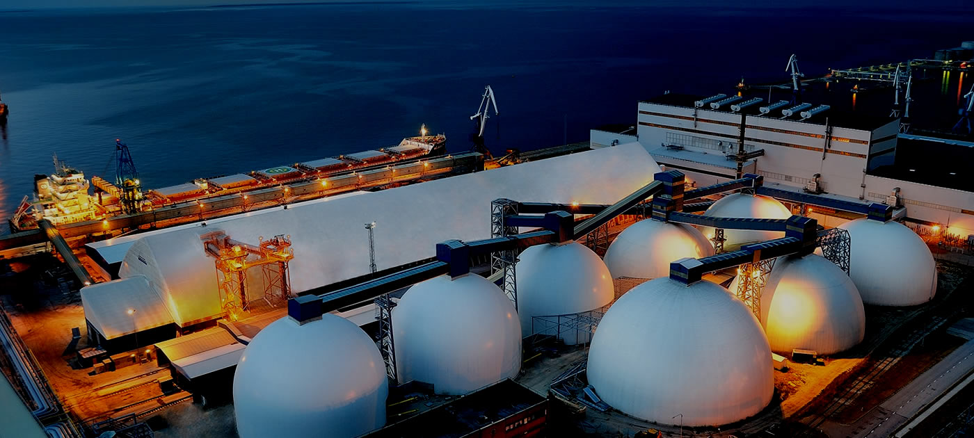 NEXUS GLOBAL INVESTMENT INC